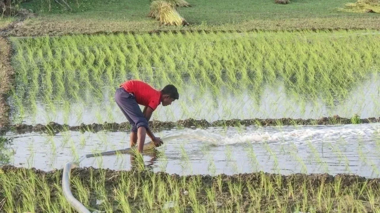 हिमाचल प्रदेश में जैविक खेती तेजी से बढ़ रही है, किसानों की आय बढ़ रही है और पर्यावरण संरक्षण सुनिश्चित हो रहा है।