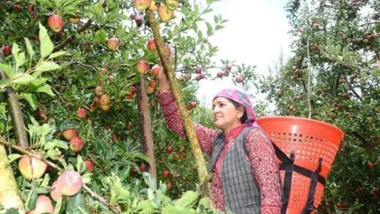 हिमाचल प्रदेश में मौसम परिवर्तन का कृषि पर विस्तृत प्रभाव