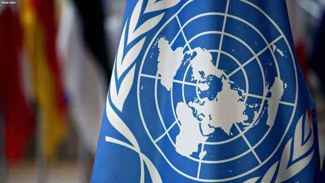 सनी संस्कारी ने बॉक्स ऑफिस पर मचाया धमाल, वरुण धवन-जाह्नवी कपूर की जोड़ी छाई