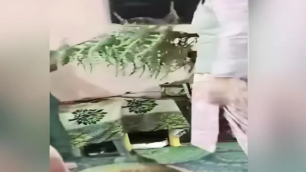 महिला शिक्षक ने छात्र की शर्ट उतारकर कांटेदार झाड़ी से की पिटाई, मामले में कार्रवाई