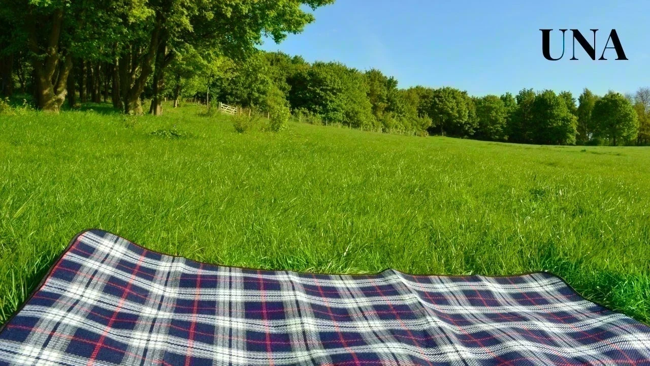 ऊना गैस कांड: रिपोर्ट में देरी पर प्रदूषण बोर्ड अधिकारी तलब