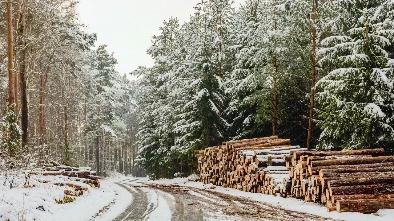 हिमाचल में 13 दिसंबर तक मौसम रहेगा साफ, 14 को बर्फबारी