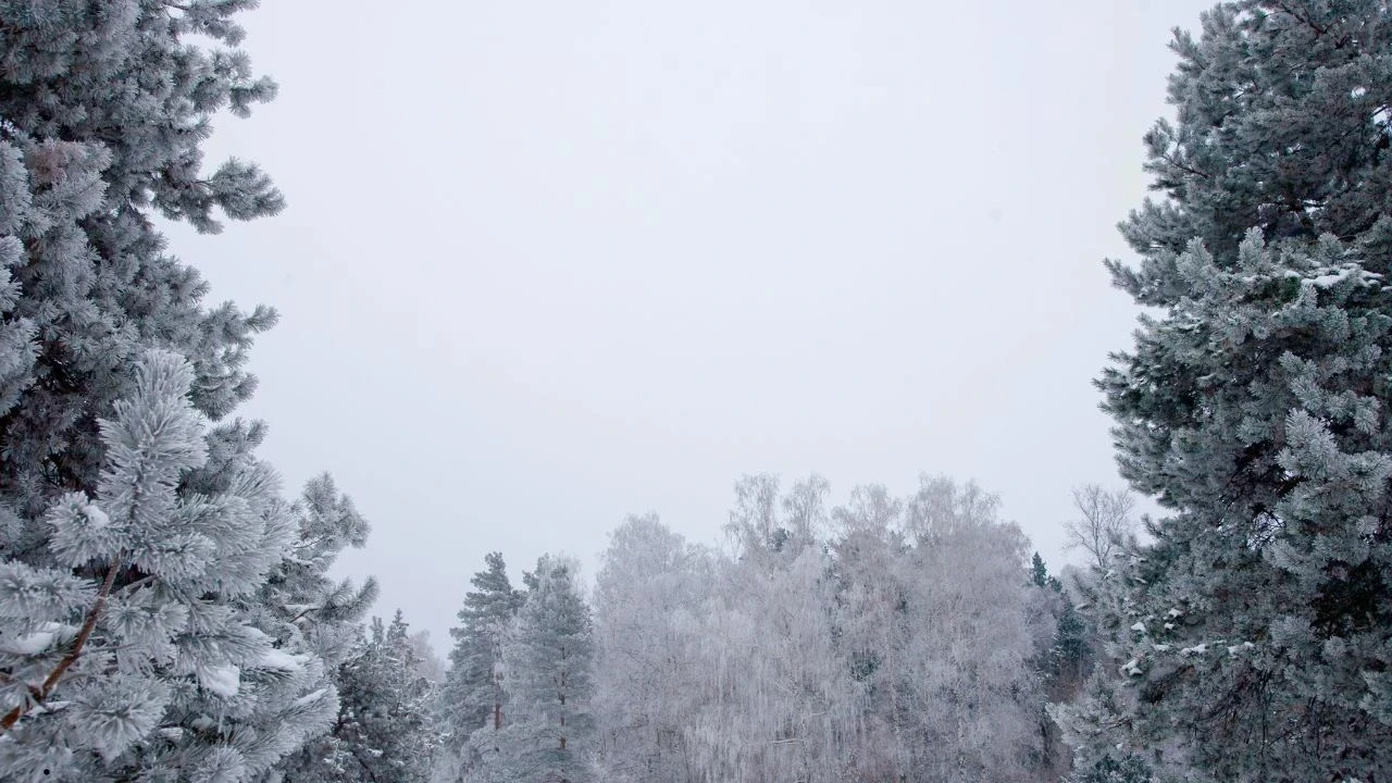हिमाचल में शीतलहर तेज, ऊपरी क्षेत्रों में हल्की बर्फबारी के संकेत