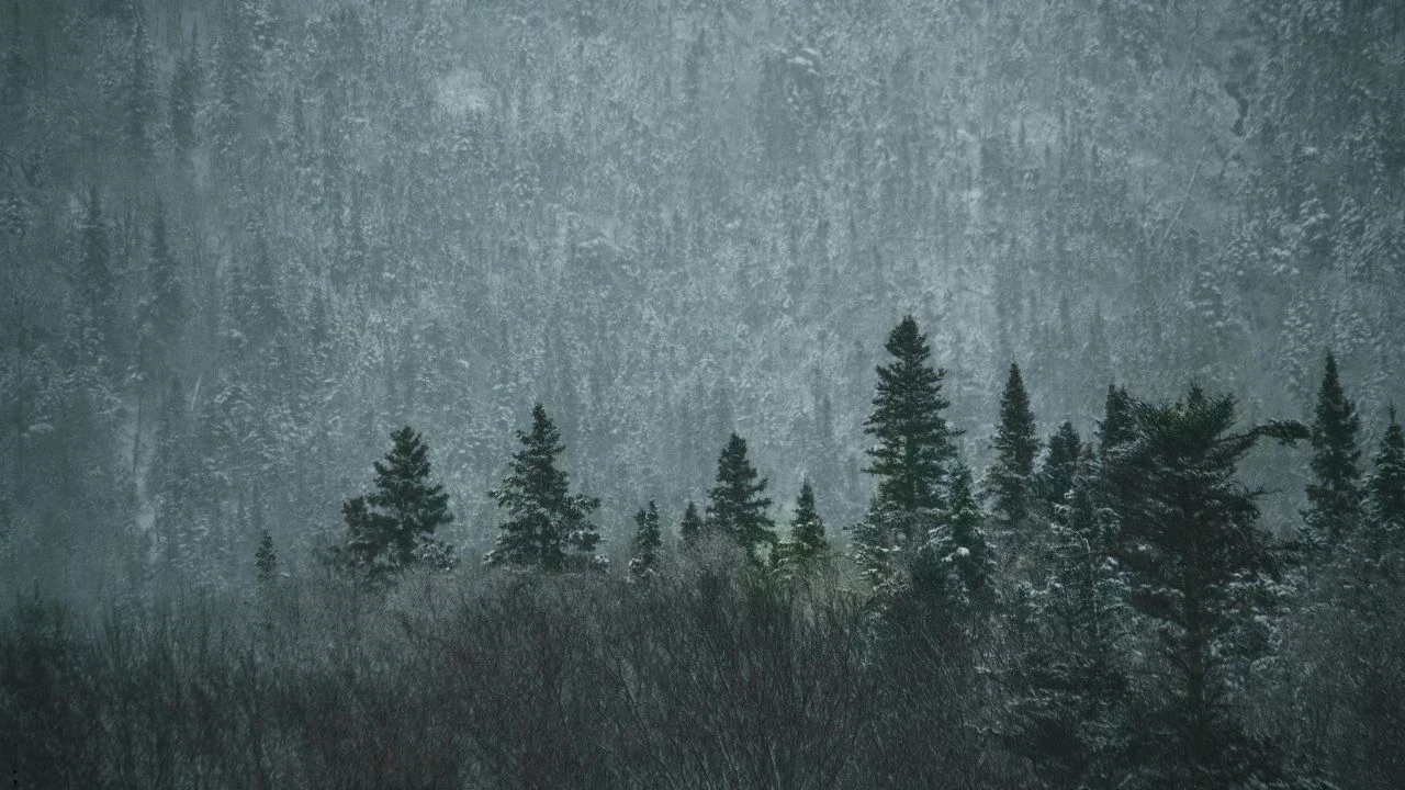 हिमाचल घने कोहरे की चपेट में, दो दिन बारिश-बर्फबारी के आसार