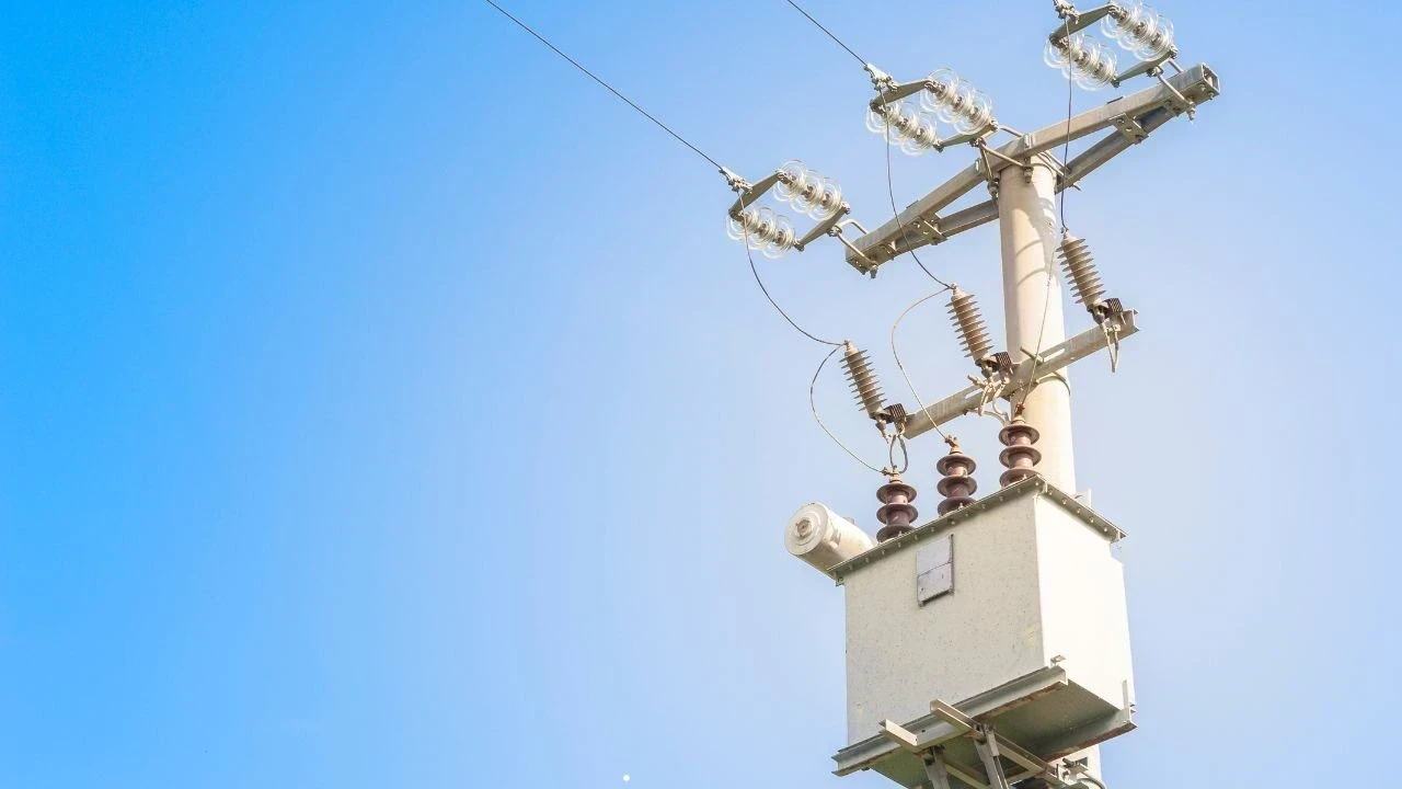 खतरे से नहीं डरती ये ‘लेडी लाइनमैन’, बिजली बोर्ड की बनी पहचान