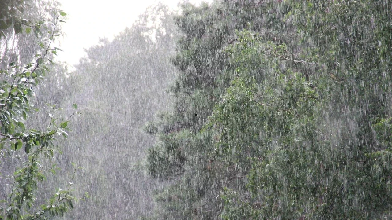 दिसंबर में बदला मौसम का खेल, शिमला-कुफरी की रातें चौंकाने वाली