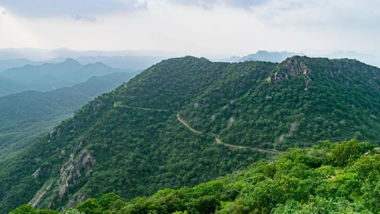 अरावली पहाड़ियाँ हो रही हैं गायब, बढ़ते पर्यावरणीय खतरे बने गंभीर चेतावनी