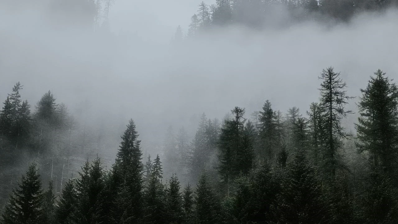 हिमाचल में बर्फबारी और घना कोहरा: अगले दिनों का मौसम क्या रहेगा?