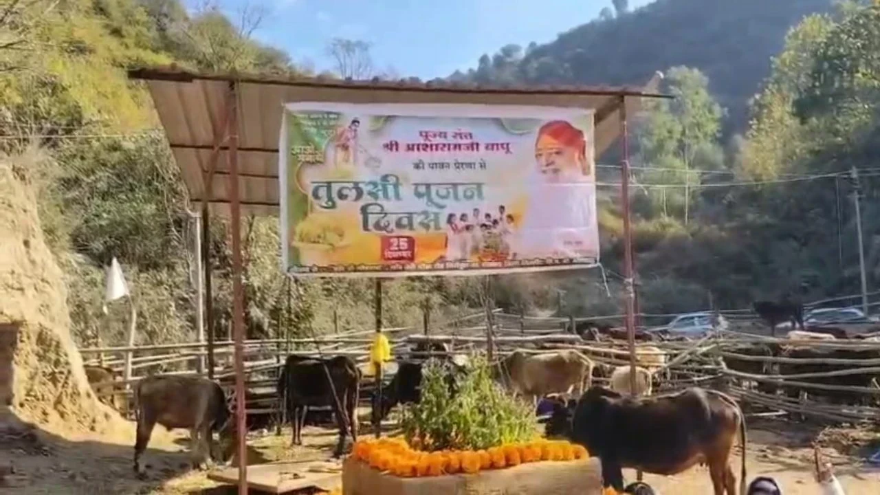 हरिओम गौशाला में श्रद्धा और आस्था संग मनाया गया तुलसी पूजन दिवस