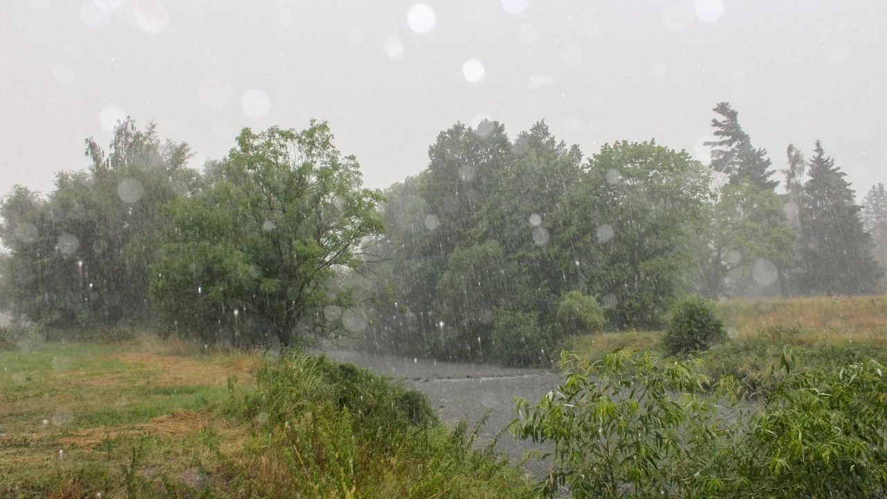 ठंडी हवाओं के बीच सूखी ठंड का कहर, बर्फबारी का इंतजार जारी