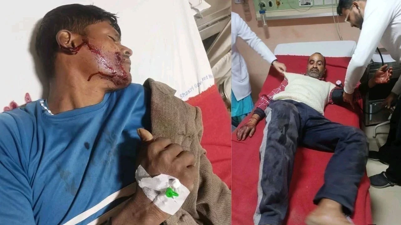 मंडी के भड़याल में आदमखोर तेंदुए का खौफनाक हमला, 1 की मौत