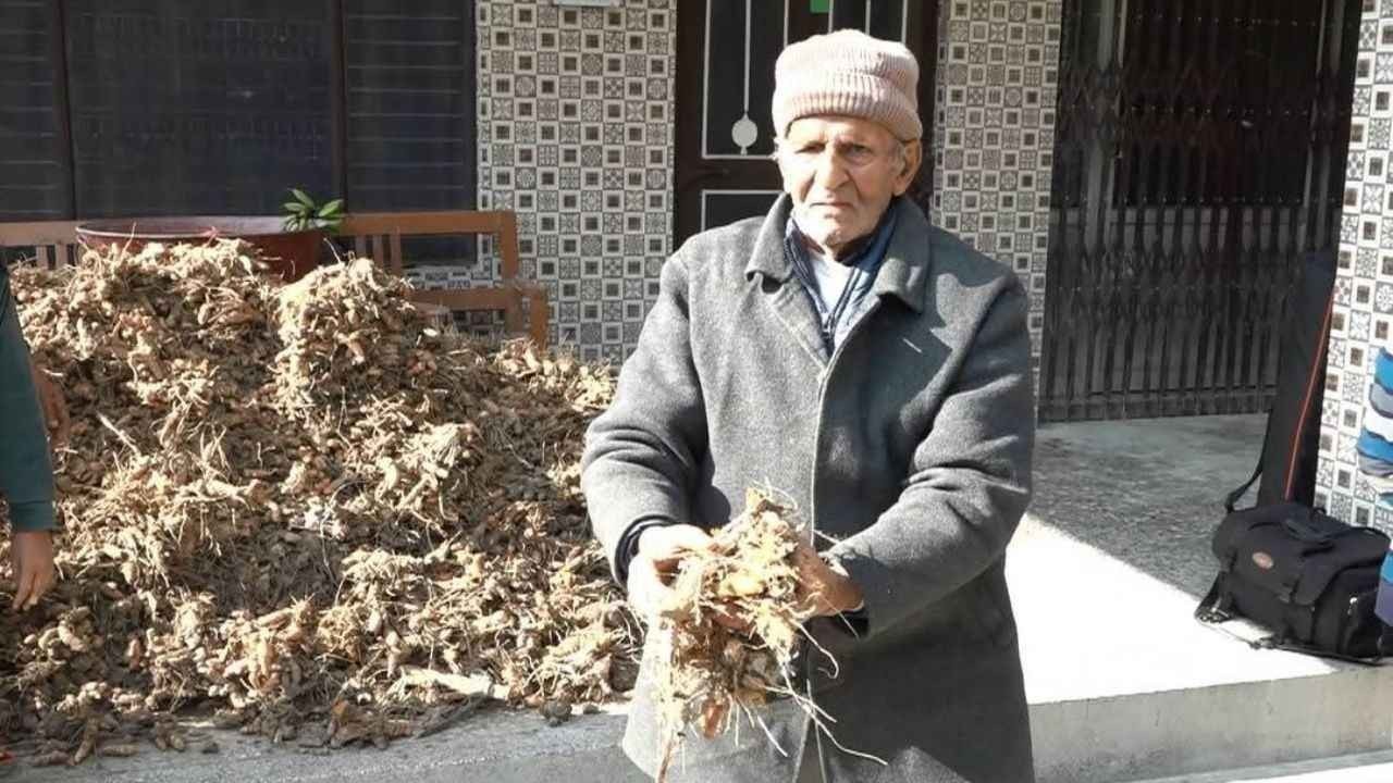 प्राकृतिक खेती से बेहतर आय: सुभाष कपिला ने बिना रासायनिक खाद हल्दी की बड़ी पैदावार की