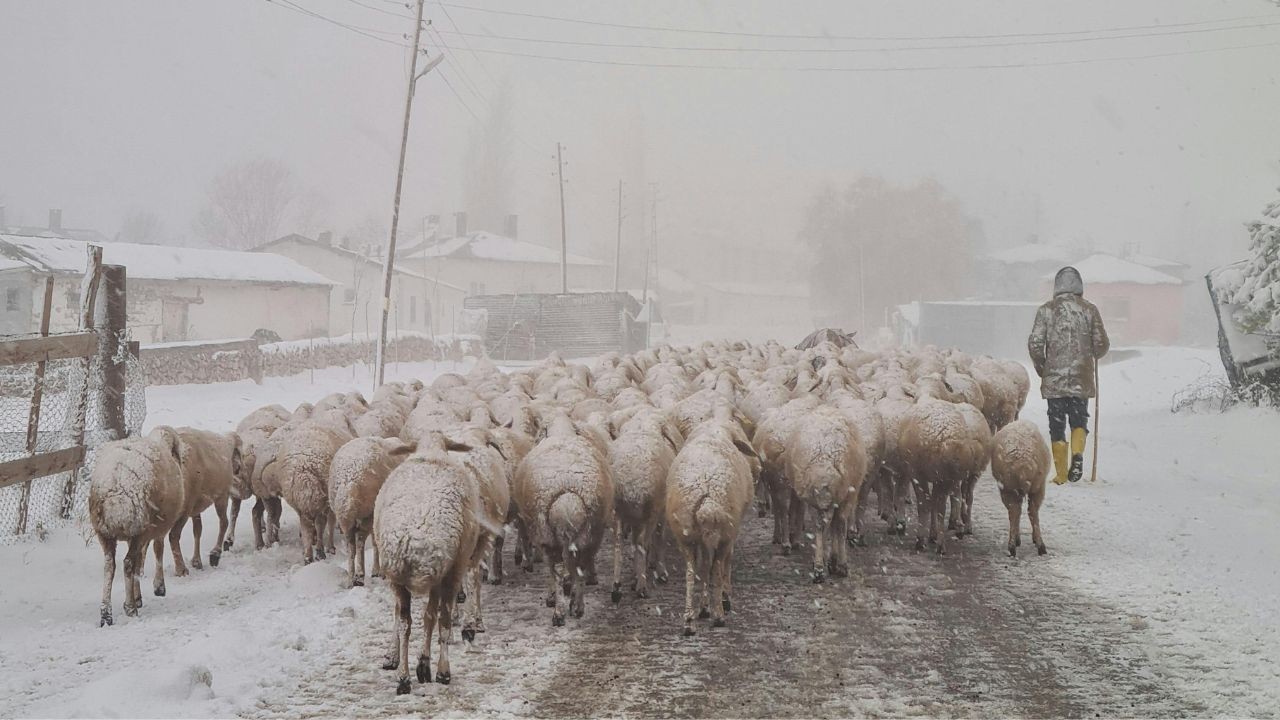 हिमाचल में रोहतांग-बारालाचा पर बर्फबारी शुरू बढ़ी ठंड