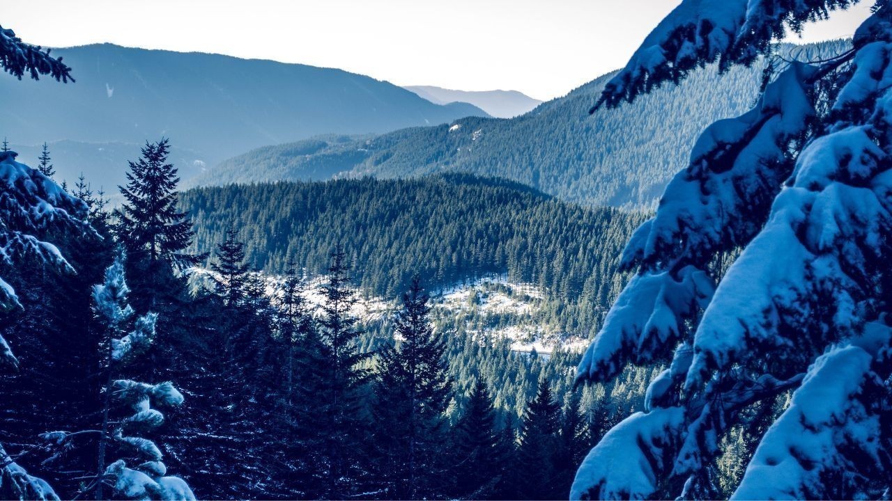 हिमाचल में सीजन का पहला व्यापक हिमपात पहाड़ों पर बर्फ की चादर