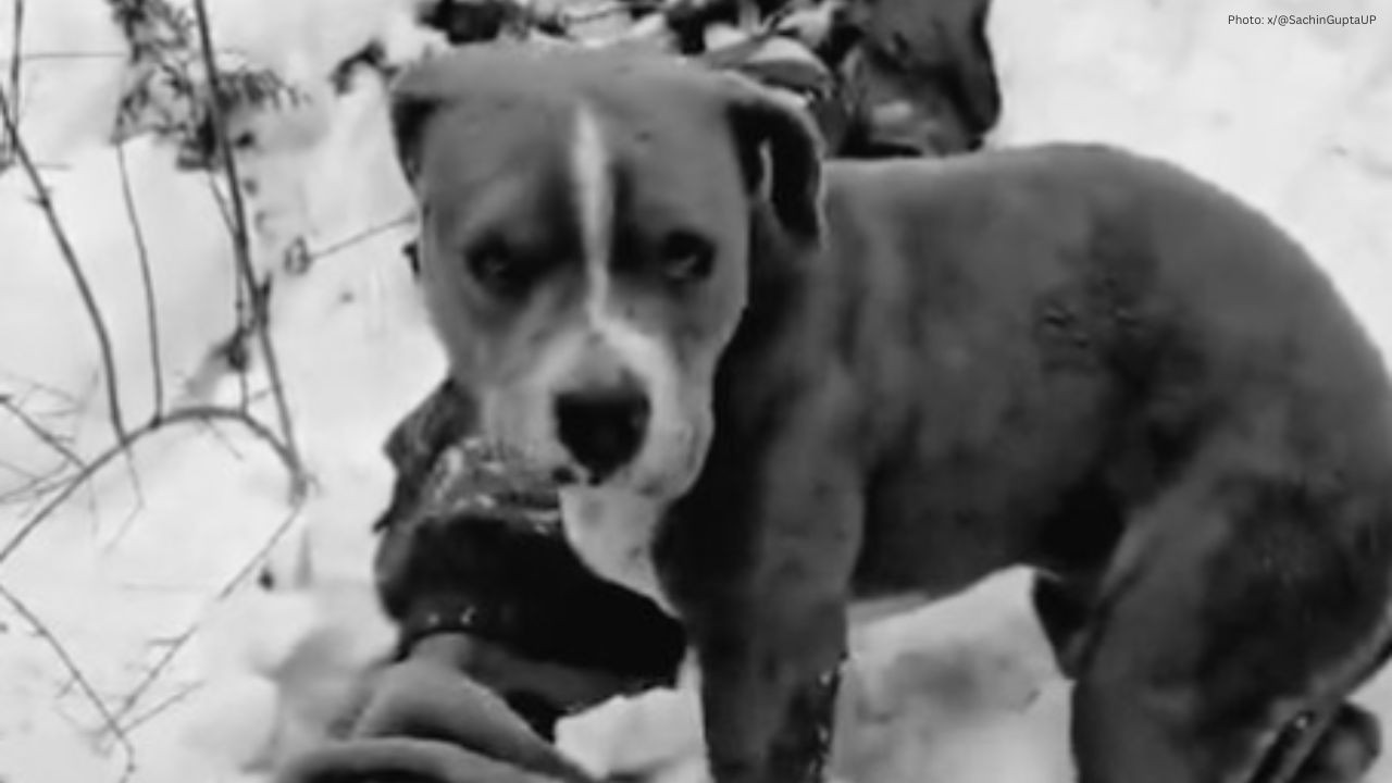 चंबा में रील बनाने गए दो चचेरे भाइयों की मौत 3 दिन बाद मिले शव