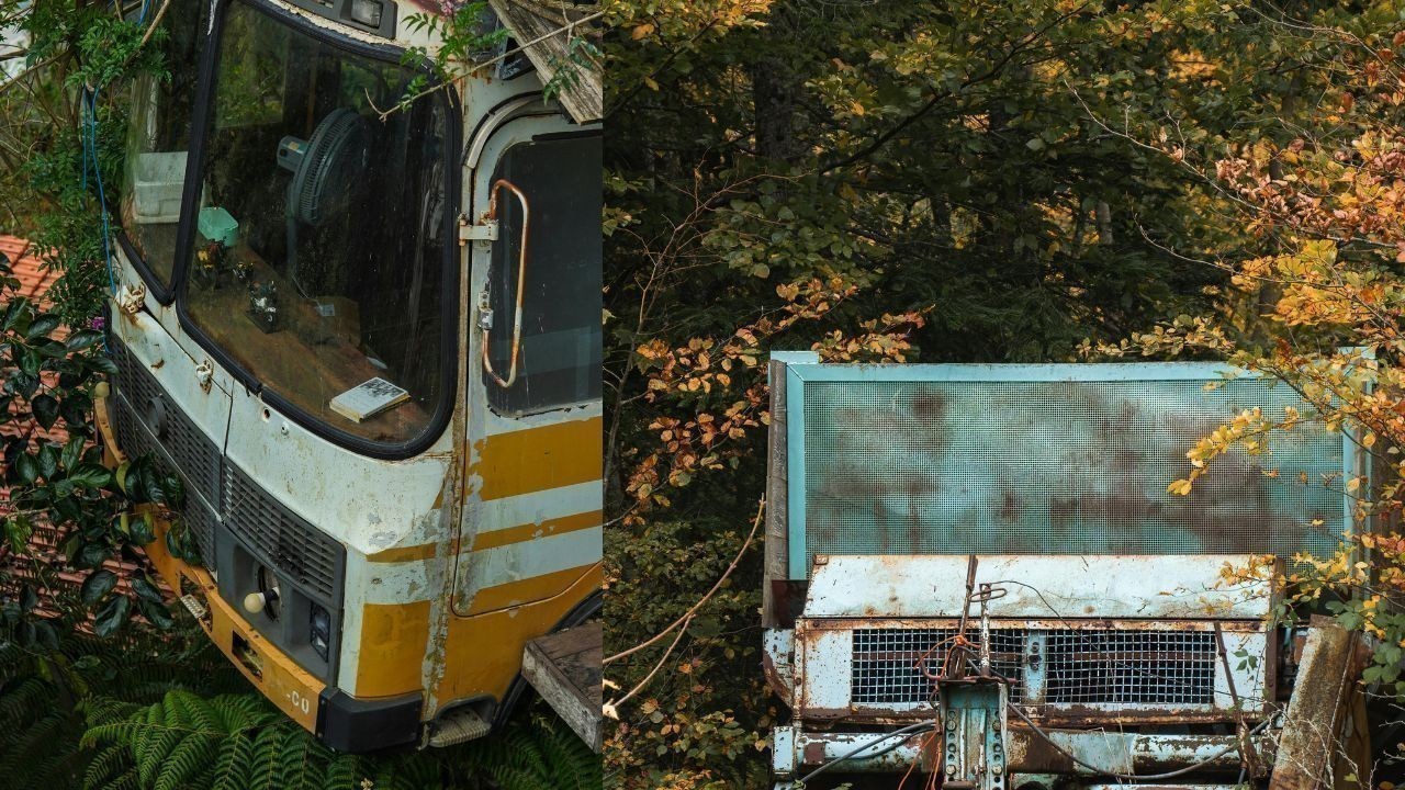 बिलासपुर में निजी बस खाई में गिरी चालक-परिचालक समेत चार घायल