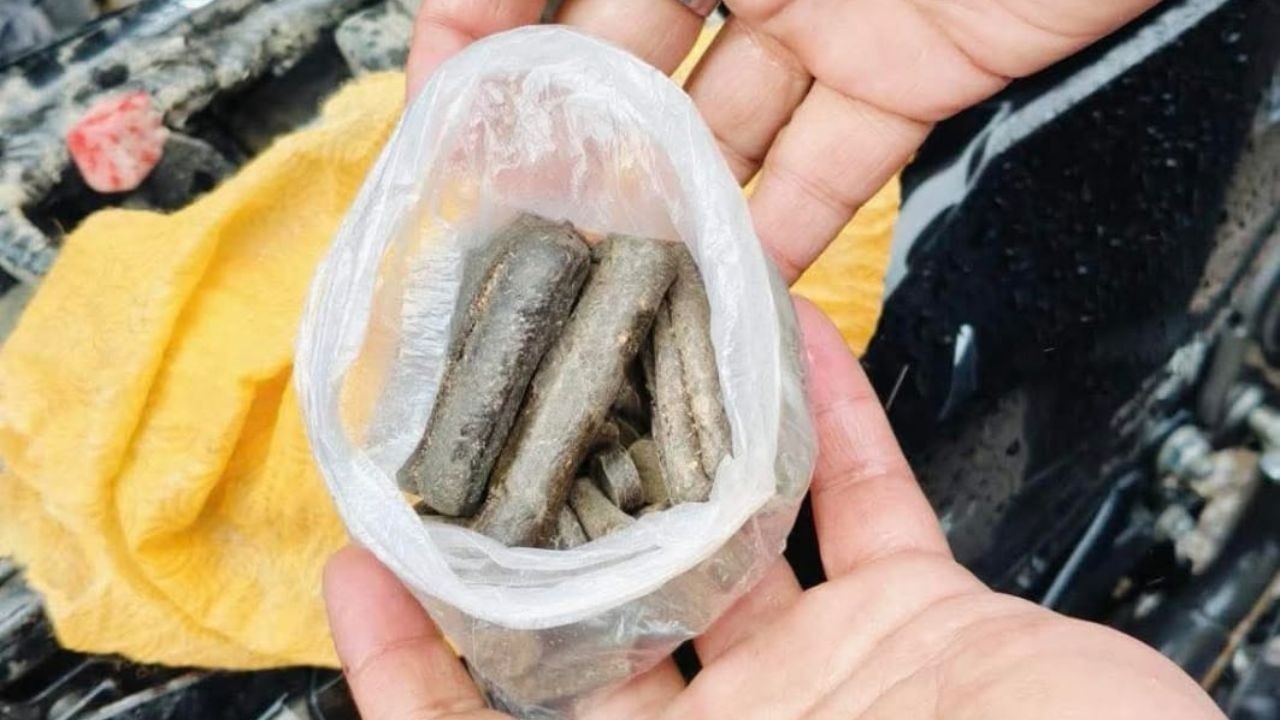 चंबा में नाकाबंदी के दौरान चरस सहित युवक गिरफ्तार, पुलिस की बड़ी कार्रवाई