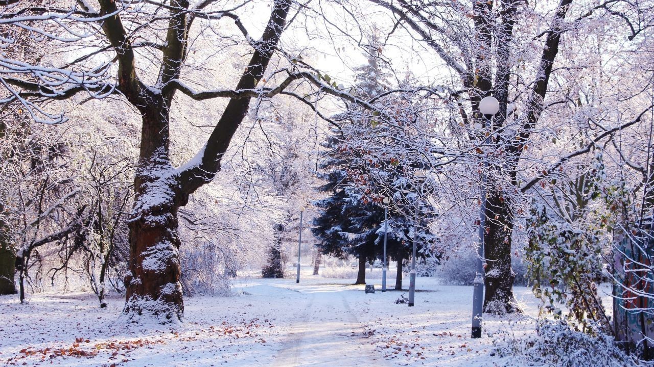 हिमाचल में बर्फबारी का असर बरकरार 655 मार्ग ठप दोबारा हिमपात की चेतावनी