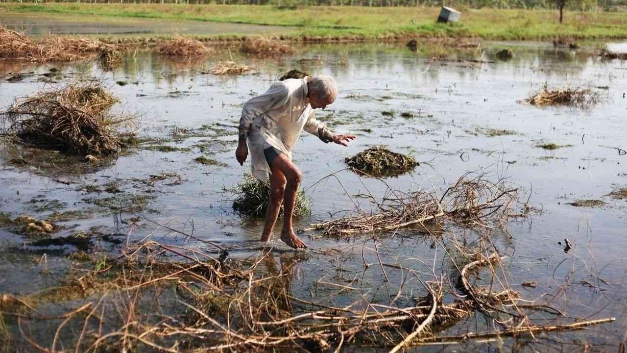 NH फोरलेन निर्माण की लापरवाही से जिया के किसानों और बागवानों की फसल प्रभावित