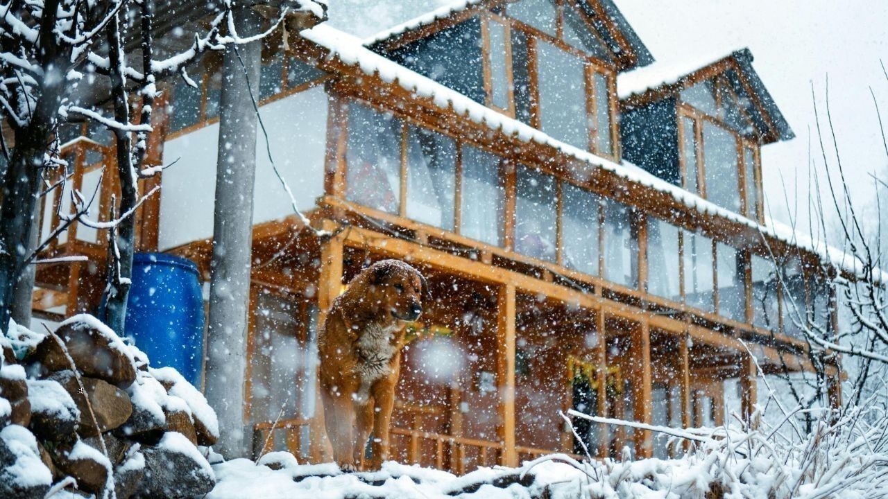 हिमाचल में फिर सक्रिय हुआ पश्चिमी विक्षोभ पहाड़ों में बर्फबारी