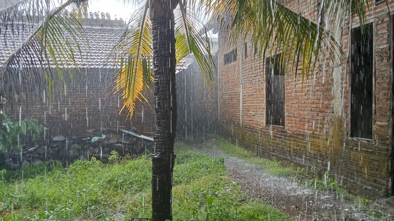 मंडी में मौसम का बदला मिज़ाज बारिश-बर्फबारी से जनजीवन प्रभावित