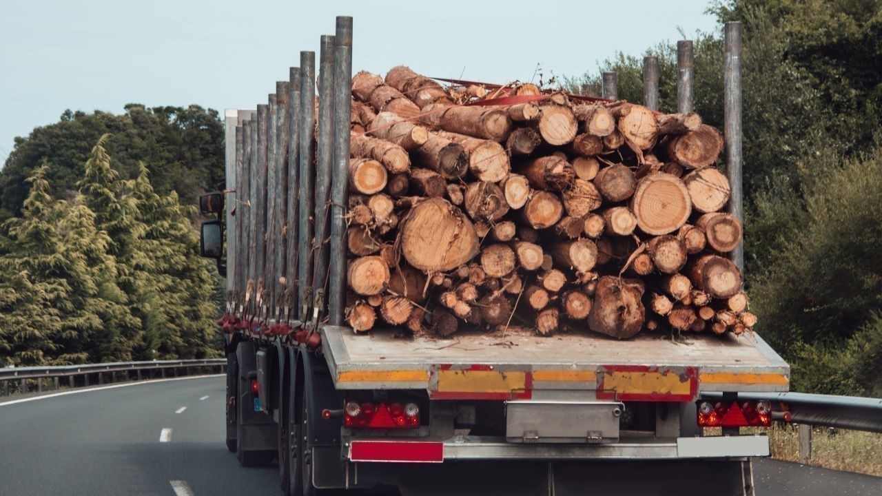 बिलासपुर फोरलेन पर अवैध लकड़ी और जड़ी-बूटियों की तस्करी पकड़ी