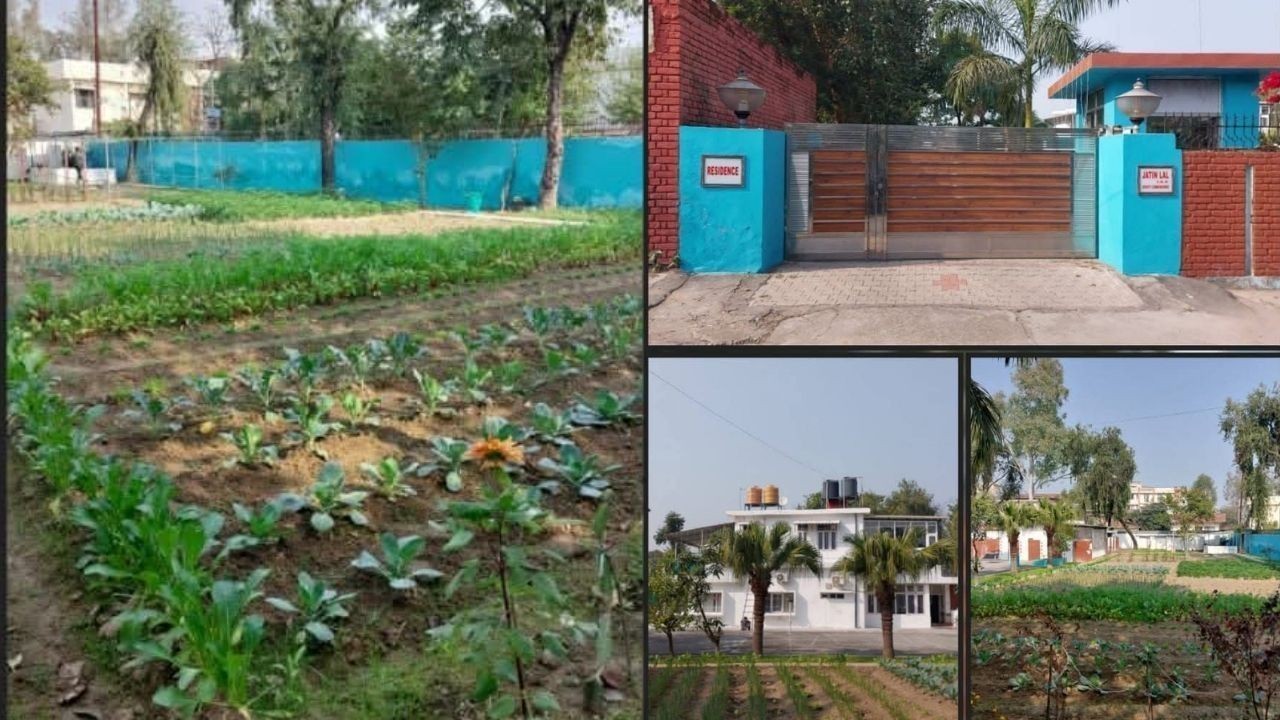 ऊना के DC जतिन लाल ने घर की क्यारी में उगाई प्राकृतिक सब्जियां, दिया बदलाव का संदेश