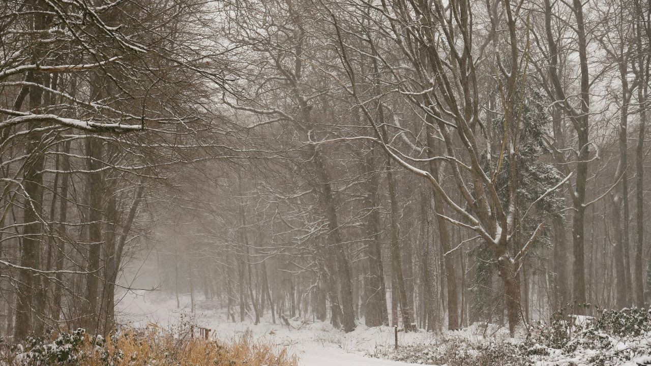 हिमाचल के कई इलाकों में गिरा तापमान, बढ़ी ठंड की मार