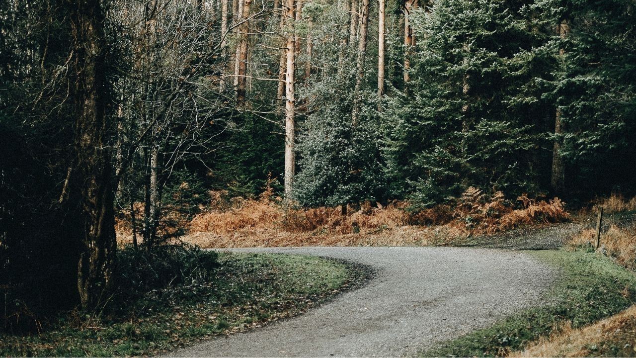 सिरमौर की जर्जर सड़कों पर हादसे बढ़े, एक माह में 20 मौतें