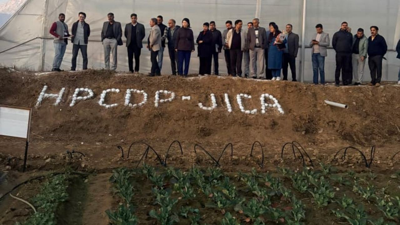 भट्टू सब्जी बीज फार्म में JICA मिशन ने आधुनिक कृषि और विकास कार्यों का निरीक्षण किया