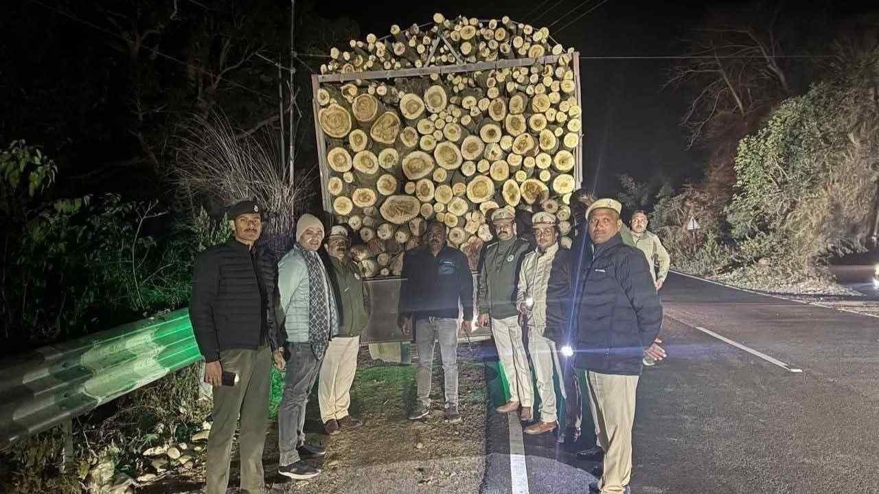 देहरा में आधी रात वन विभाग का बड़ा एक्शन, अवैध लकड़ी से लदे 5 पिकअप जब्त