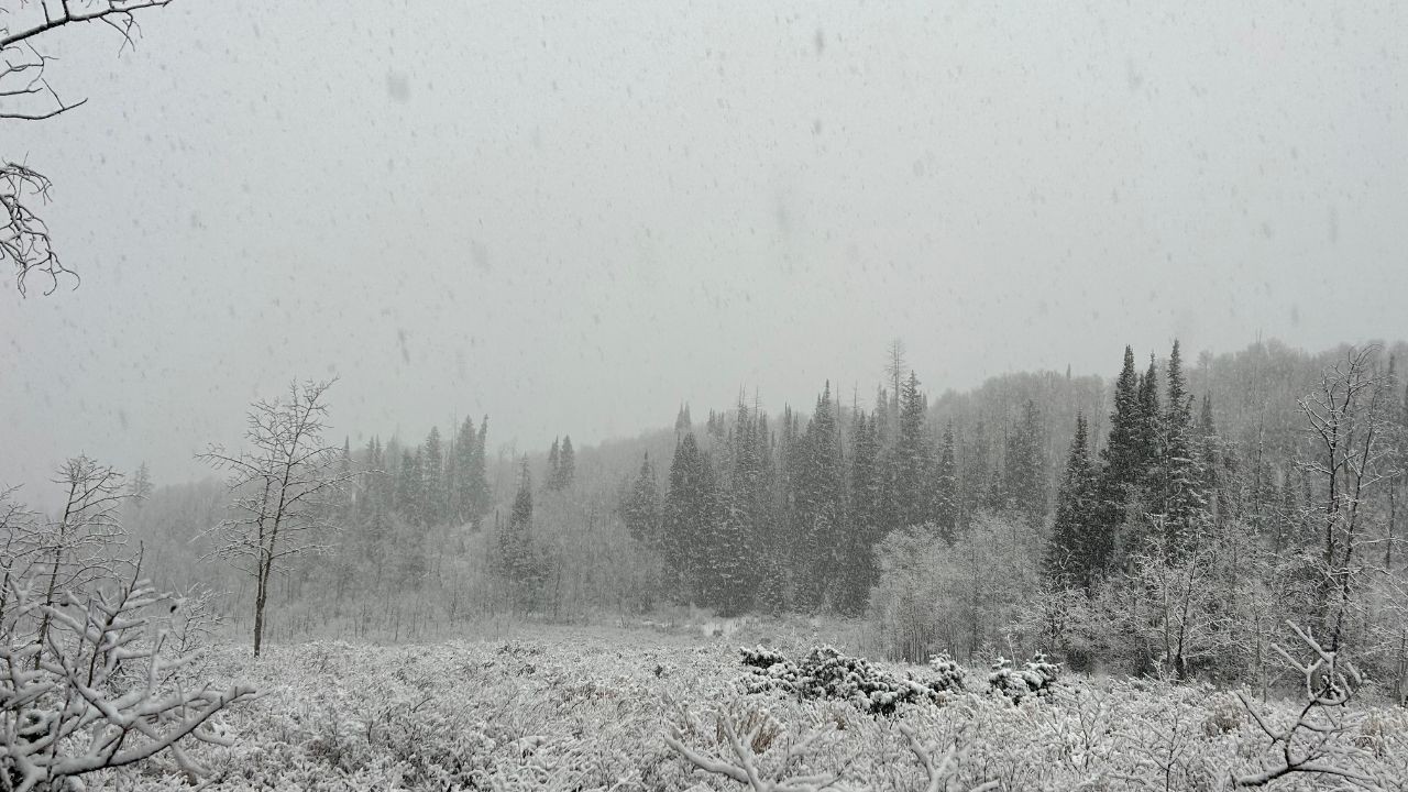 10 फरवरी को हिमाचल में फिर बदलेगा मौसम, बारिश-बर्फबारी के आसार