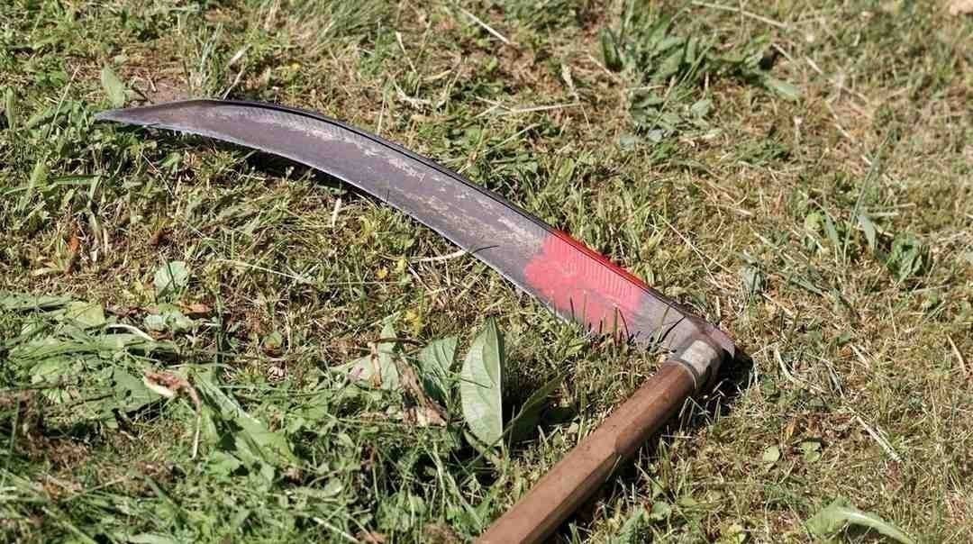 कांगड़ा के देहरा उपमंडल के सरकारी स्कूल में मिड-डे मील वर्कर की दराती से हत्या, आरोपी गिरफ्तार