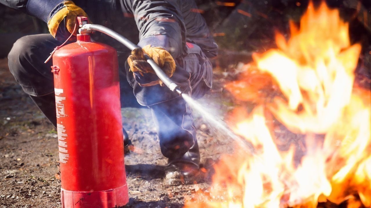 नालागढ़ में वन रक्षक और वन मित्रों को जंगल की आग से बचाव का प्रशिक्षण सुरक्षा पर विशेष जोर