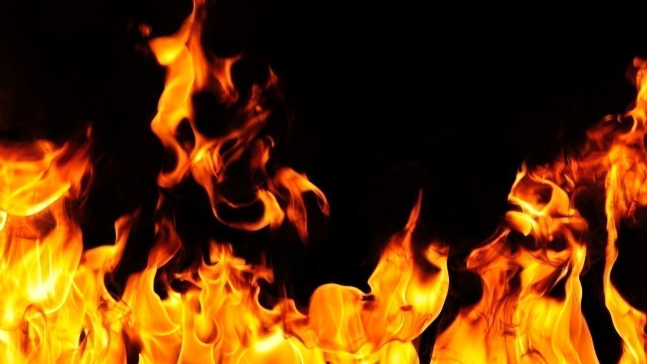 कुल्लू बिजली महादेव की पहाड़ियों में लगी आग, पर्यावरण और वन्य जीवन पर संकट