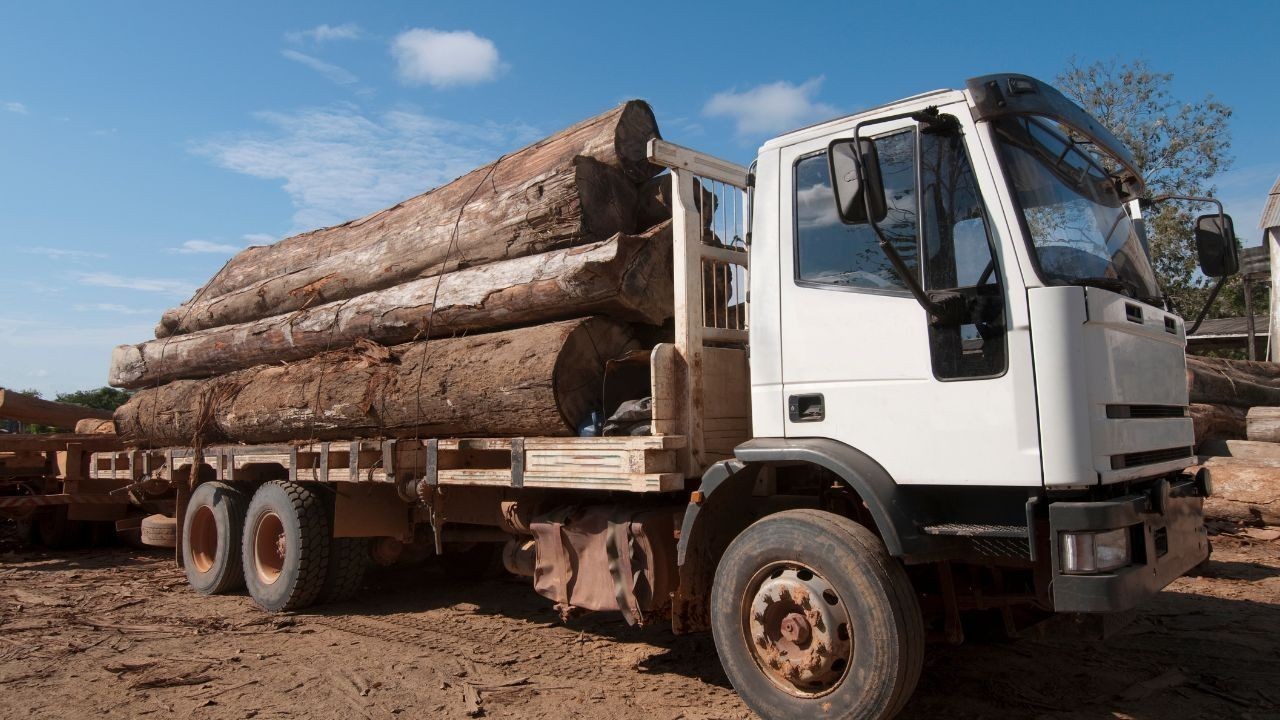 सिरमौर सूरजपुर में वन माफिया पर कार्रवाई, खैर की लकड़ी बरामद