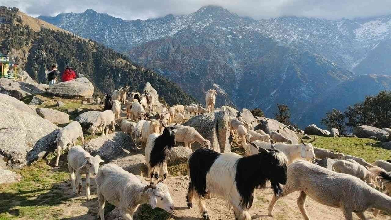 हिमाचल में मार्च की शुरुआत में ही बढ़ी गर्मी, कई जिलों में तापमान 30 डिग्री के पार