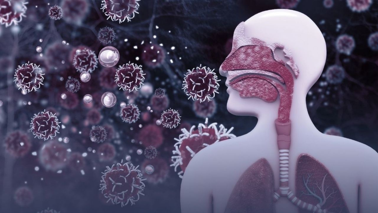 कोविड-19 के गंभीर मामलों के बाद बढ़ सकता है कैंसर का खतरा, नई स्टडी में खुलासा