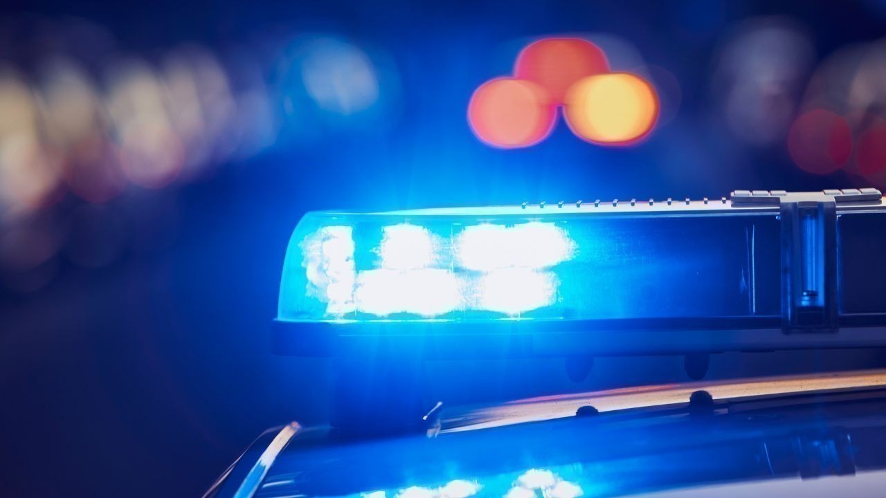 कांगड़ा पुलिस ने 200 पेटी अवैध शराब पकड़ी, शराब तस्कर विशाल कुमार गिरफ्तार