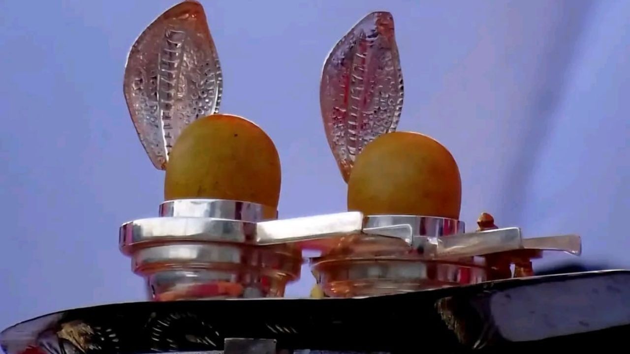 हमीरपुर में प्राचीन शिवलिंग के दिव्य दर्शन का आयोजन, भक्तों को मिलेगा आशीर्वाद