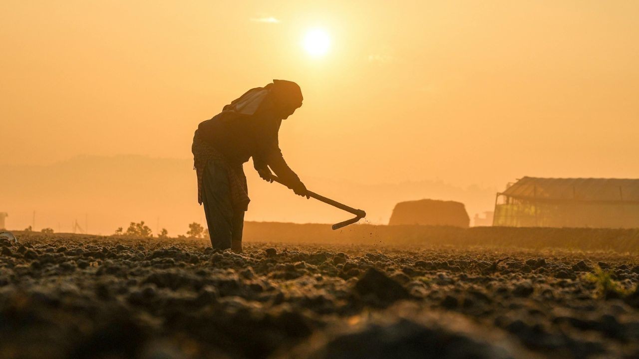 हिमाचल में प्राकृतिक खेती को बढ़ावा, 2026 तक एक लाख किसानों को जोड़ने का लक्ष्य
