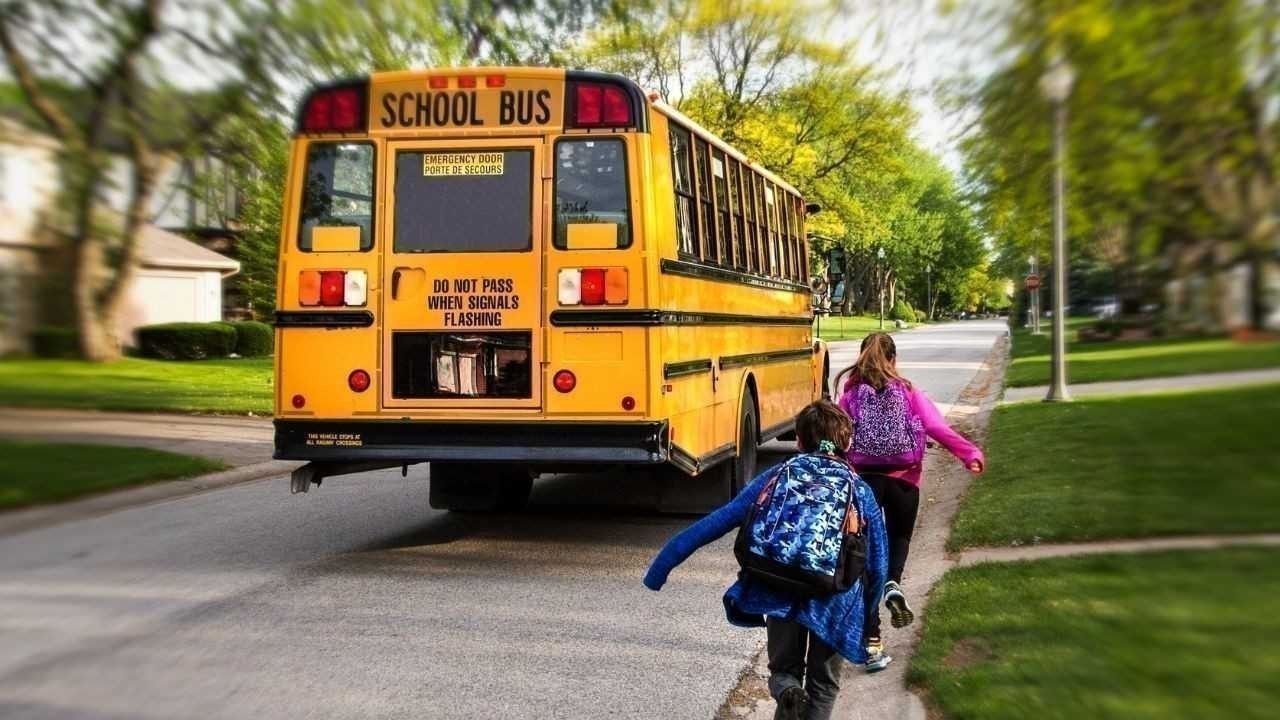 कक्षा 1 से 12 तक के विद्यार्थियों को बिना बस कार्ड के मुफ्त यात्रा की सुविधा