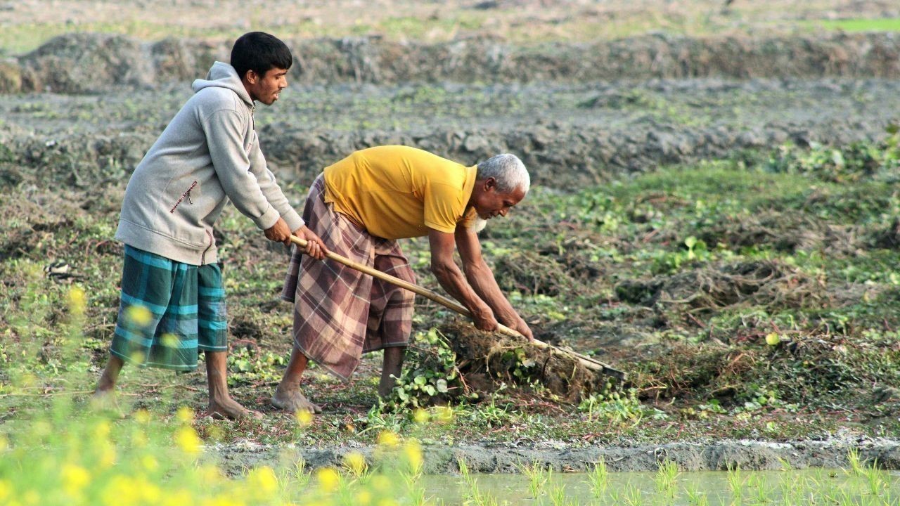 शिमला में किसानों को प्राकृतिक खेती के आसान तरीके सिखाने का कार्यक्रम होगा
