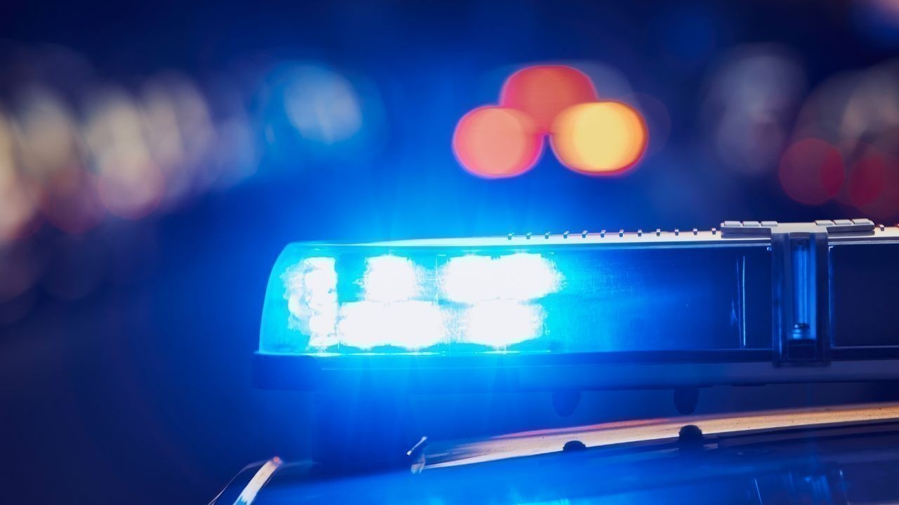 मंडी में STF की बड़ी कार्रवाई, 838 ग्राम चरस सहित 4 आरोपी गिरफ्तार