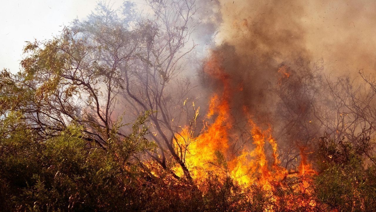 रामपुर के झाकड़ी में भीषण आग, गरीब परिवार का सबकुछ जलकर राख