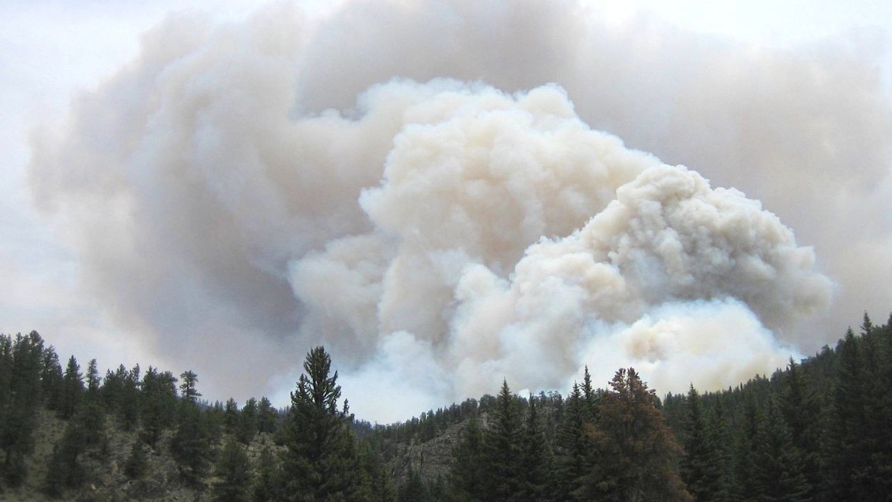 कर्सोग के जंगल जलने से बढ़ी चिंता, प्रशासन ने शुरू किया नियंत्रण अभियान
