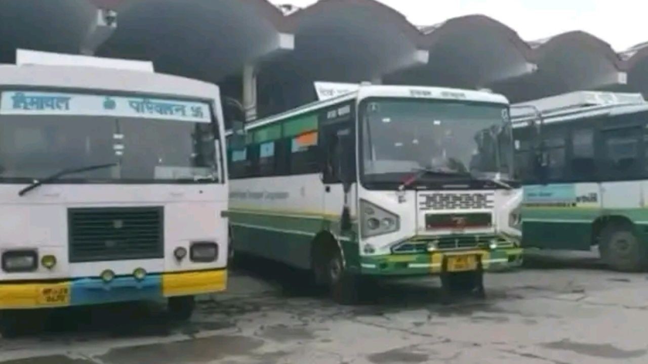 नीट परीक्षा के लिए हमीरपुर में विशेष बस सेवा, छात्रों को केंद्र तक पहुंचने में मिलेगी बड़ी राहत