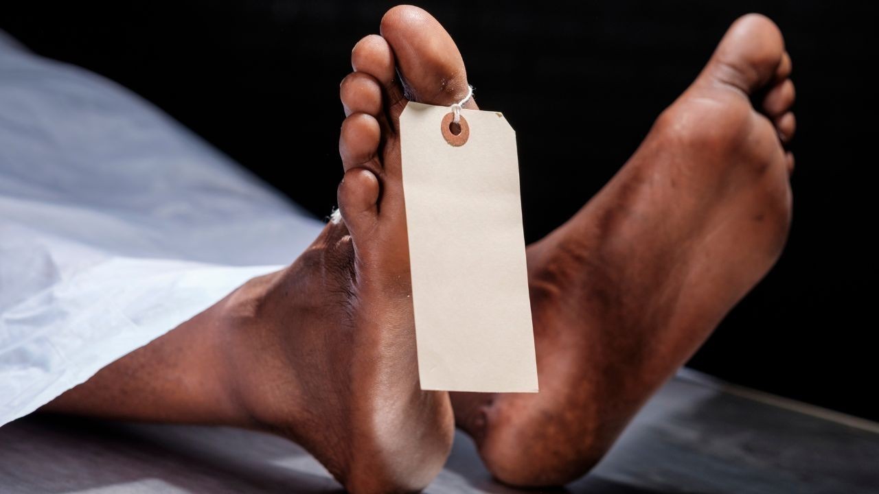तपोवन के पास बेसहारा पशु बने हादसे की वजह, बाइक दुर्घटना में महिला की जान गई