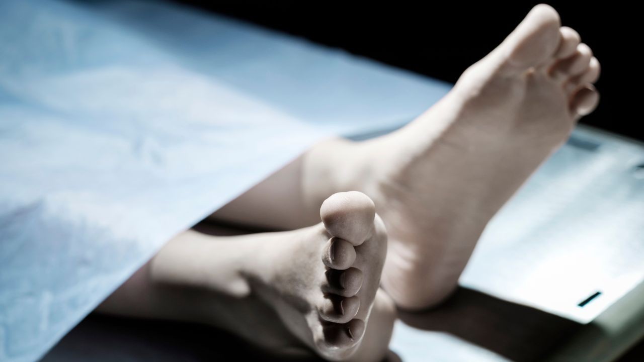 कुल्लू में दर्दनाक हादसा आंधी में चलती गाड़ी पर पेड़ गिरा चार शिक्षिकाओं की मौत