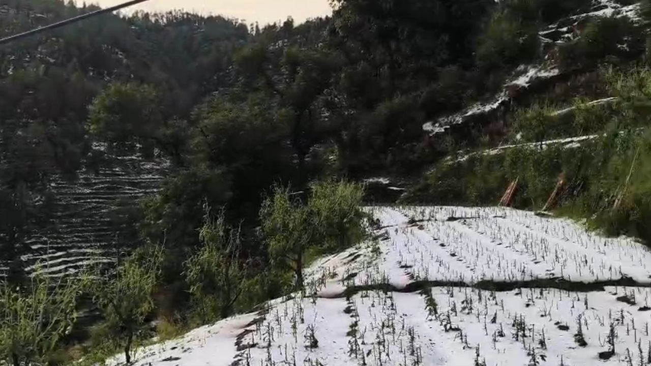 राजगढ़ में भारी ओलावृष्टि से फसलें तबाह, किसानों को लाखों का नुकसान
